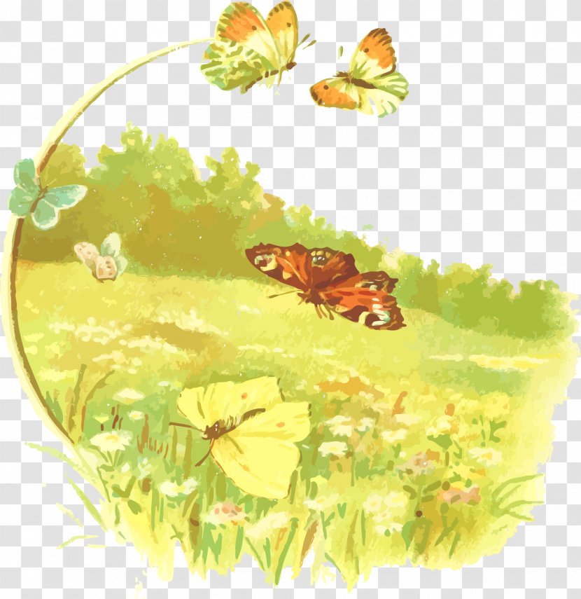 Monarch Butterfly Clip Art - Moths And Butterflies - Vector Transparent PNG
