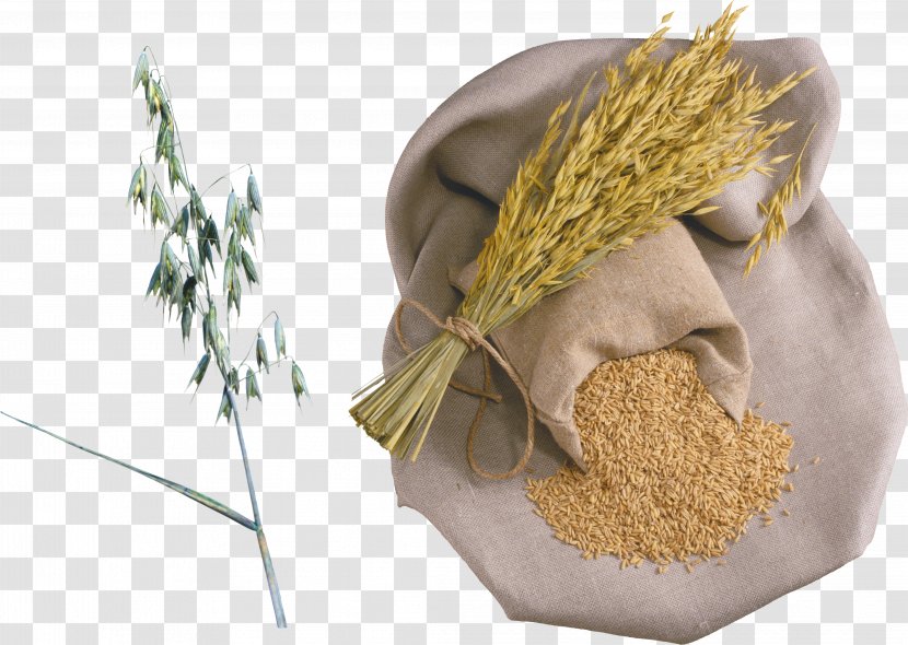 Rice Wheat Porridge Caryopsis Organic Food - Threshing Transparent PNG