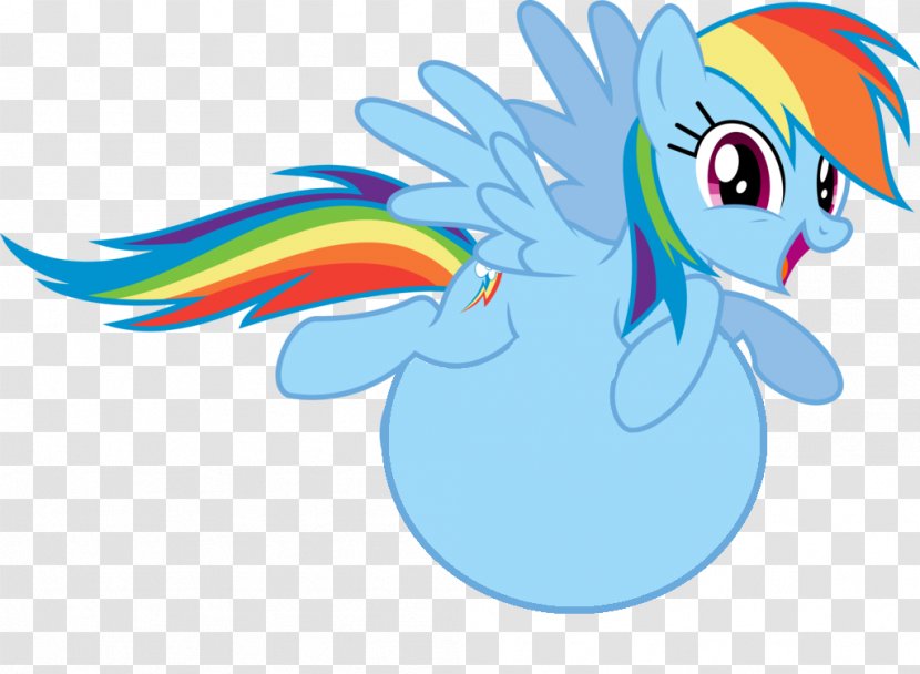 Rainbow Dash Photography - Hurricane Fluttershy - Tummy Transparent PNG