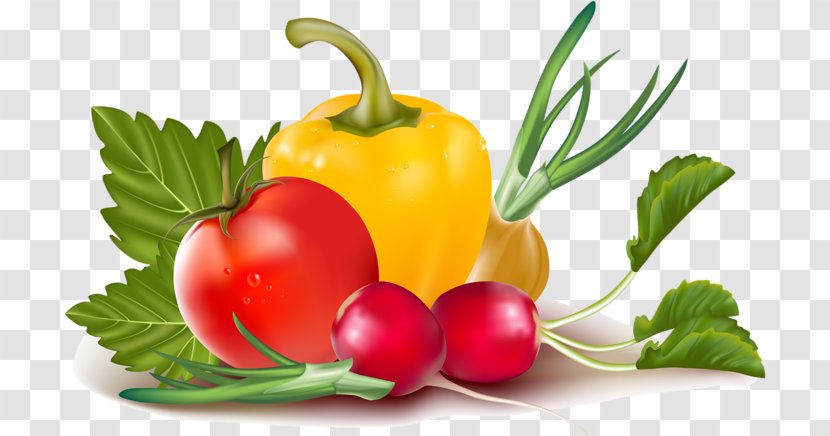Chili Pepper Bell Vegetable Clip Art - Fruit Transparent PNG