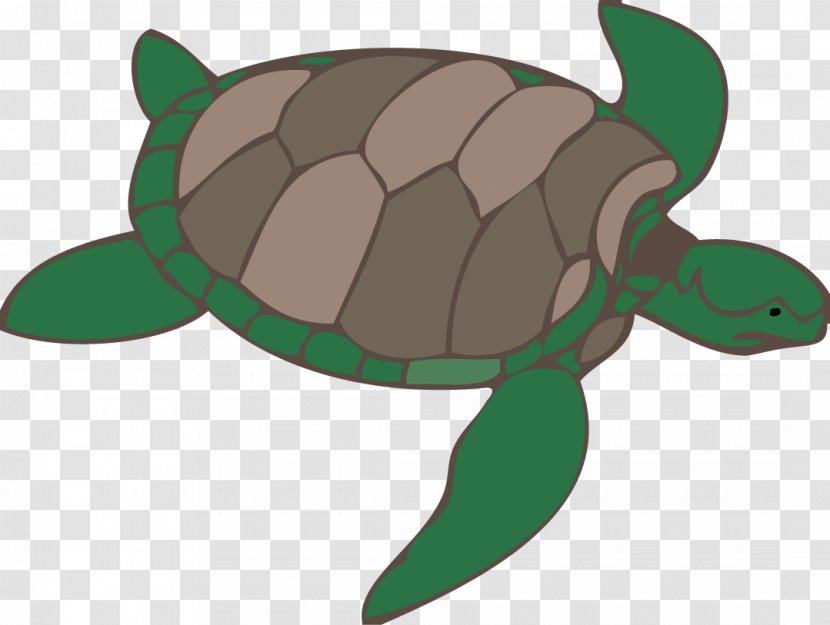 Green Sea Turtle Clip Art - Tortoise - Ten Li Peach Blossom Transparent PNG