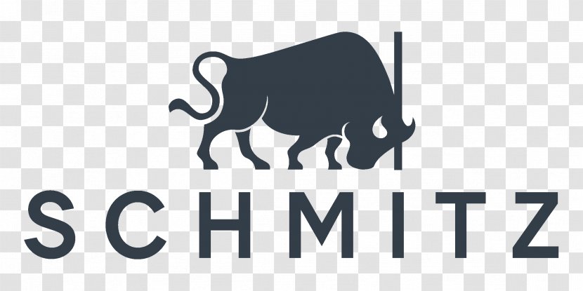 Medicine Schmitz U. Söhne GmbH & Co.KG Therapy Industry Biomedical Engineering - Logo - Claim Transparent PNG