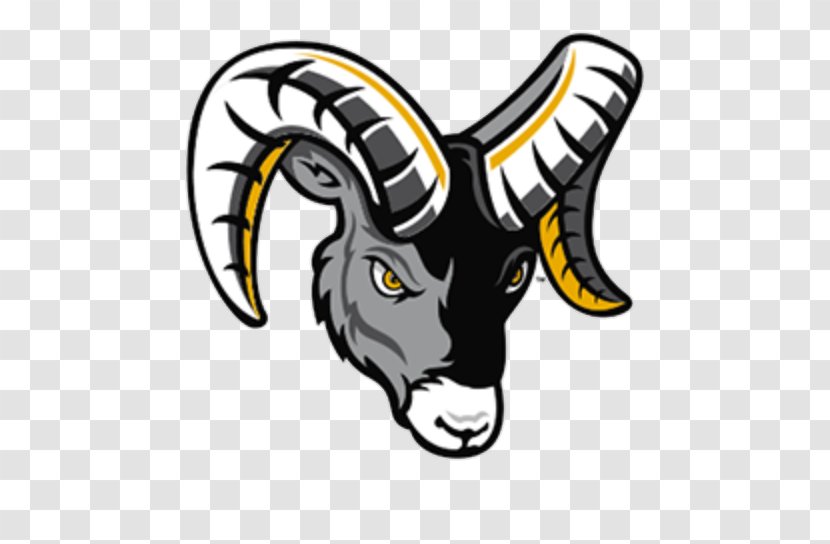 Framingham State University Rams Football Team Fitchburg Los Angeles Of Massachusetts Dartmouth - American Transparent PNG