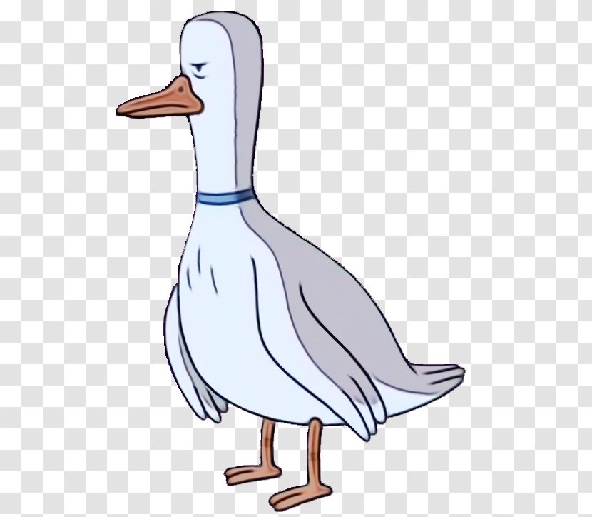 Bird Duck Beak Water Ducks, Geese And Swans - Watercolor - Cartoon Mallard Transparent PNG