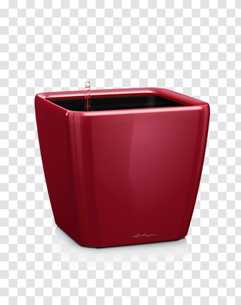 Red Color Scarlet Flowerpot Black - Inch - Owl Transparent PNG