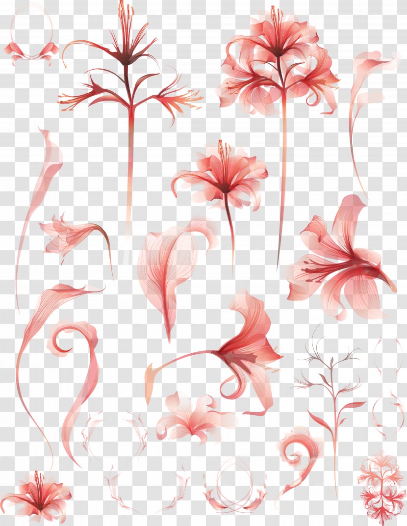Flower Watercolor Painting Illustration - Plant - Lily Transparent PNG