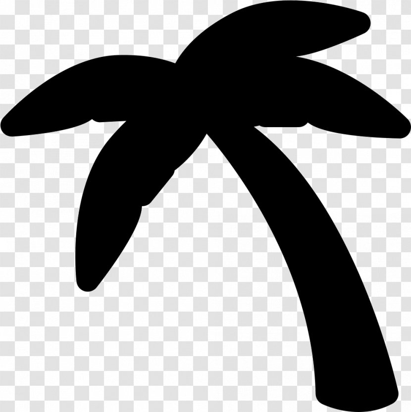 Arecaceae Coconut Tree - Silhouette Transparent PNG