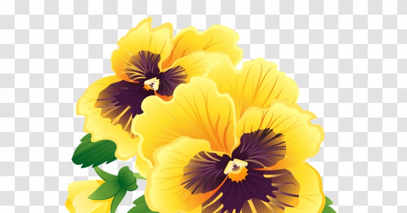 Pansy Vector Graphics Illustration Image GIF - Photography - Floral Banner Transparent PNG