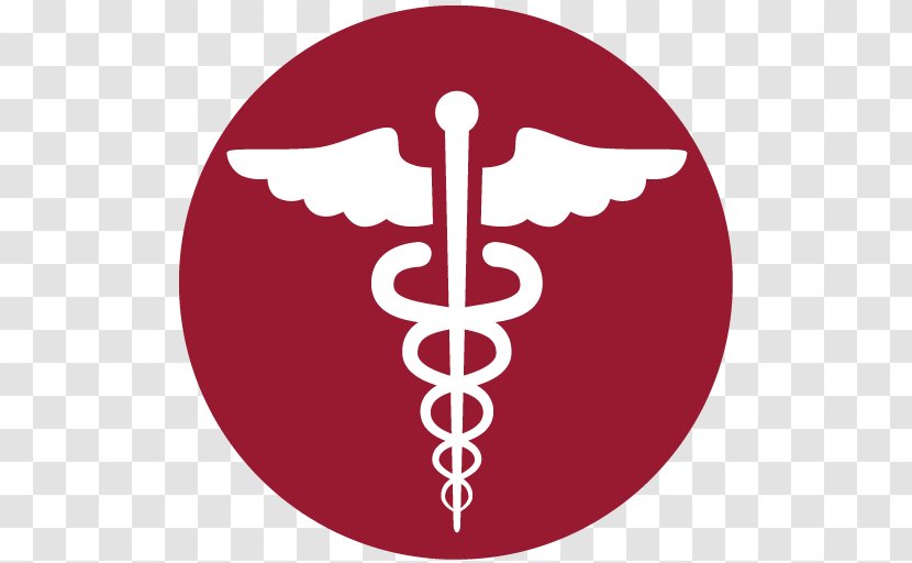 Health Care Urgent Medicine Pharmacy - Professional Transparent PNG