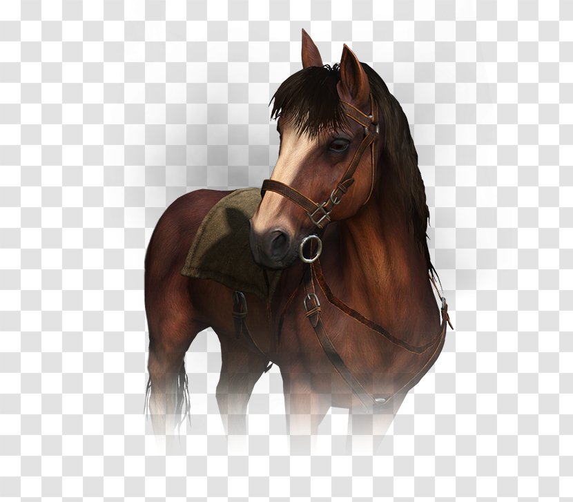 Mare Horse Stallion Geralt Of Rivia The Witcher 3: Wild Hunt - Harness Transparent PNG