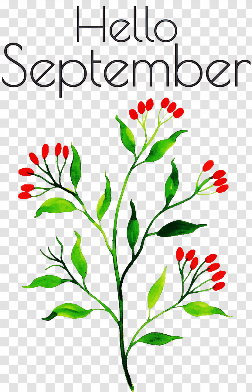 Hello September September Transparent PNG