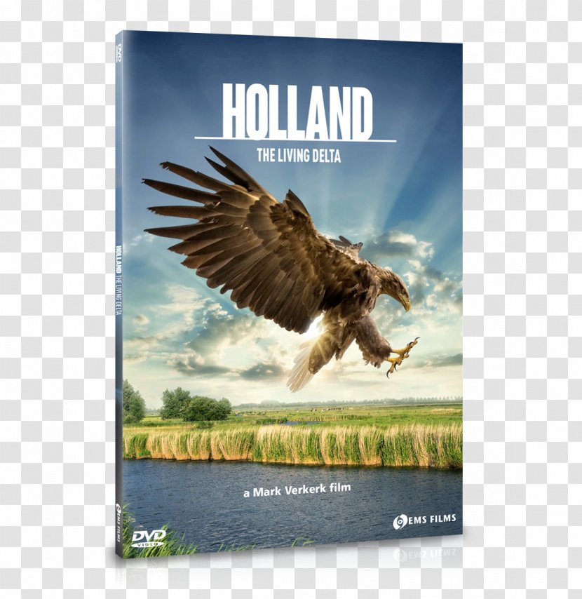 Netherlands Documentary Film Landscape Nature - Ecology - Holland Transparent PNG