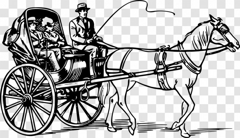 Barouche Horse-drawn Vehicle Chariot Vector Graphics - Coloring Book - Henry Ford Transparent PNG
