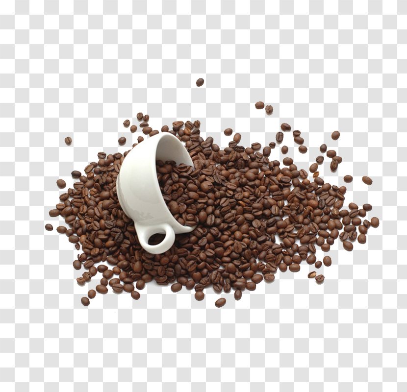 Coffee Bean Tea Chocolate Milk Cup - Sugar - Beans Transparent PNG