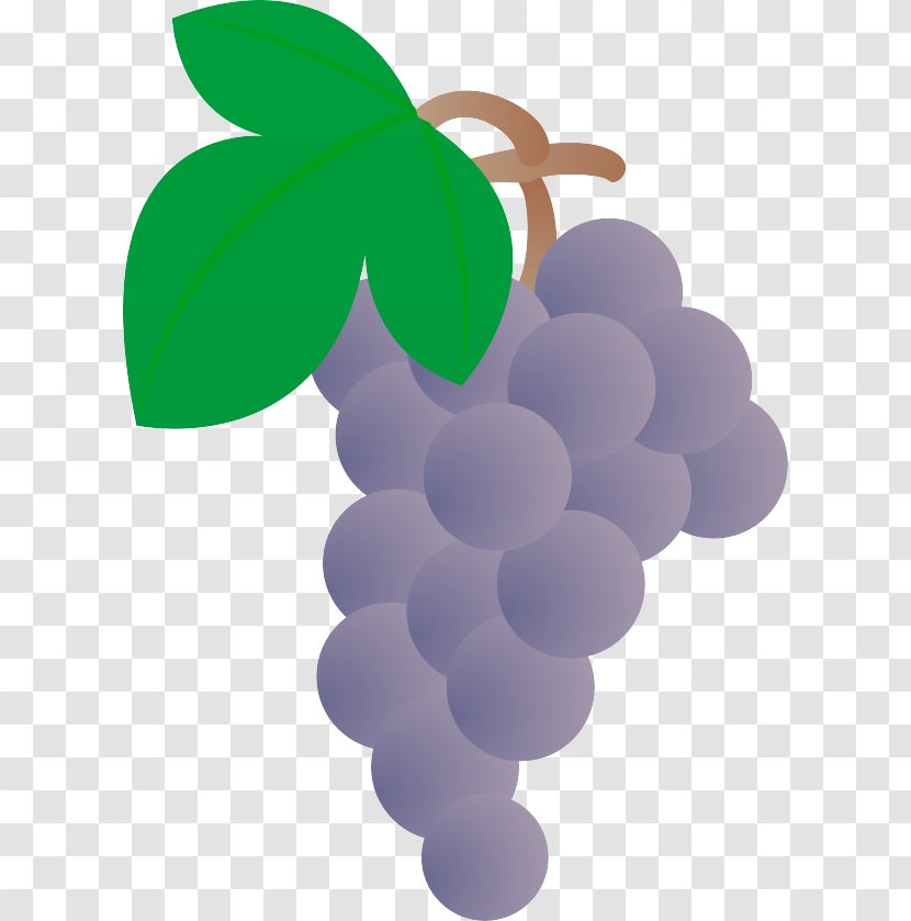 Grape Drawing Cartoon - Violet - Grapes Transparent PNG