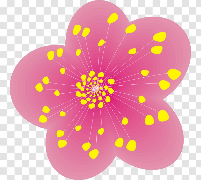 Cartoon Plum Blossom - Flowering Plant Transparent PNG