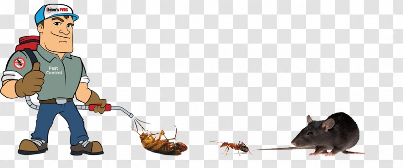 Pest Control Exterminator Rabbit-proof Fence Cockroach - Human Behavior Transparent PNG