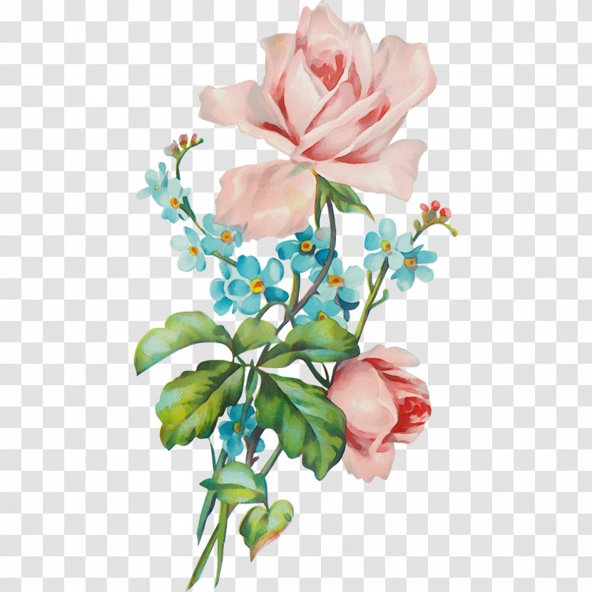Rose - Flower - Family Transparent PNG