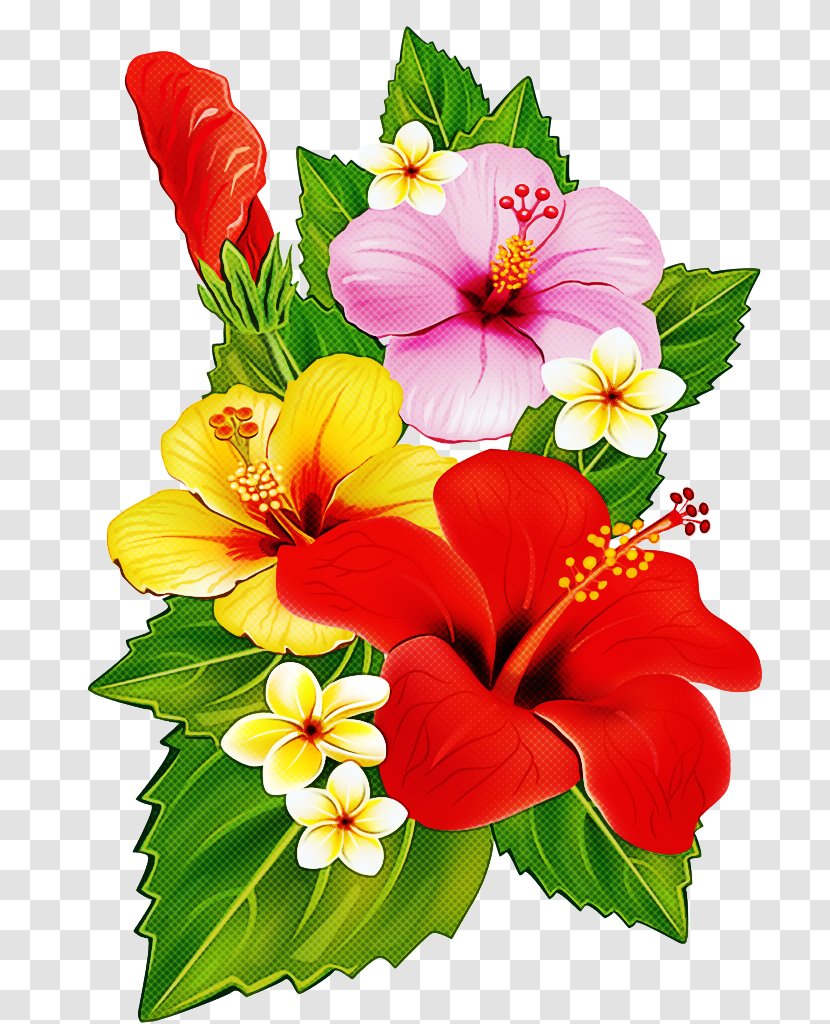 Bouquet Of Flowers Drawing - Hawaiian Language - Artificial Flower Anthurium Transparent PNG