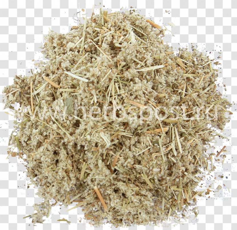 Straw Mycelium Soil Sawdust Sassafras - Pola Transparent PNG