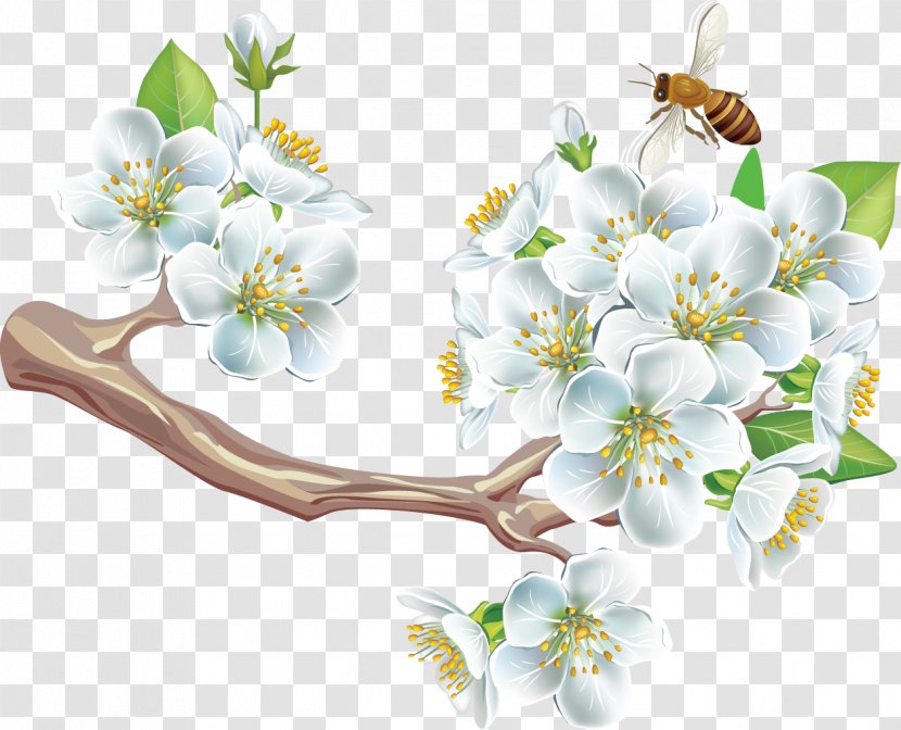 Spring Flower Adobe Acrobat Clip Art - Floral Design Transparent PNG