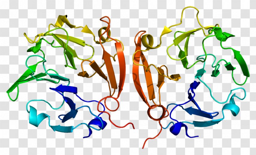 MMP9 Matrix Metalloproteinase Extracellular Enzyme - Tree - Watercolor Transparent PNG