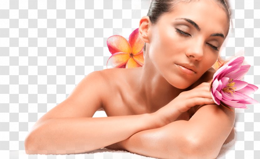 Beauty Parlour Hair Removal Moisturizer Clinica De Estética Vanessa Gimenez - Massagem Transparent PNG