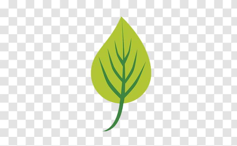 Logo Download - Drawing - Leaf Transparent PNG