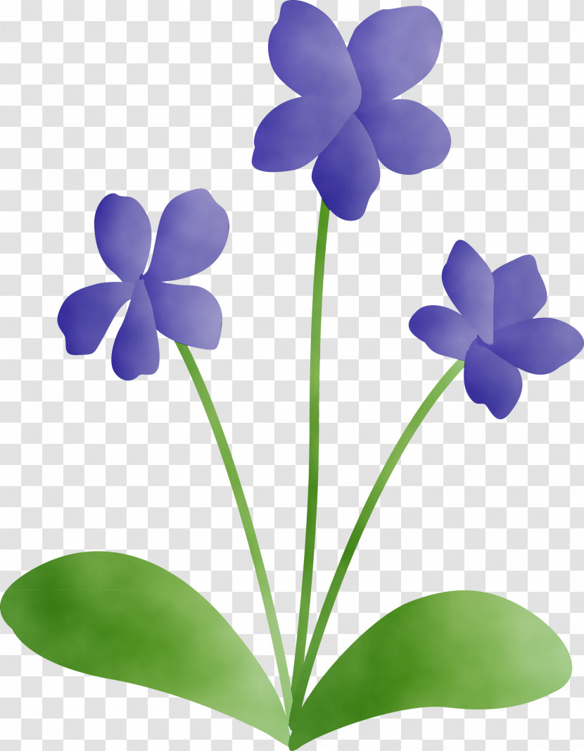 Plant Stem Herbaceous Plant Flowerpot Lilac Petal Transparent PNG