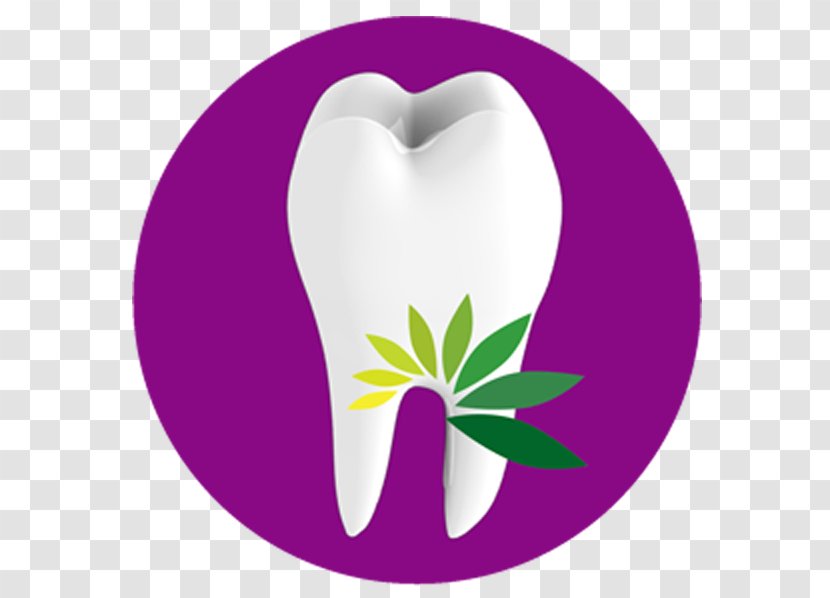 Smile Al Reem Dental Center Halarewards.Com Drive Hilali Clinic - Tree - Insurance Transparent PNG