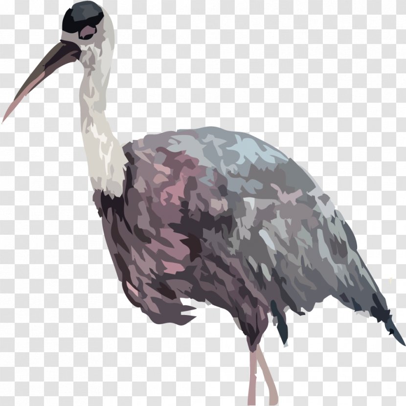 Common Ostrich Bird Euclidean Vector - Beak - A Transparent PNG