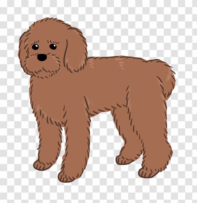 Goldendoodle Schnoodle Puppy Dog Breed Companion - Like Mammal Transparent PNG