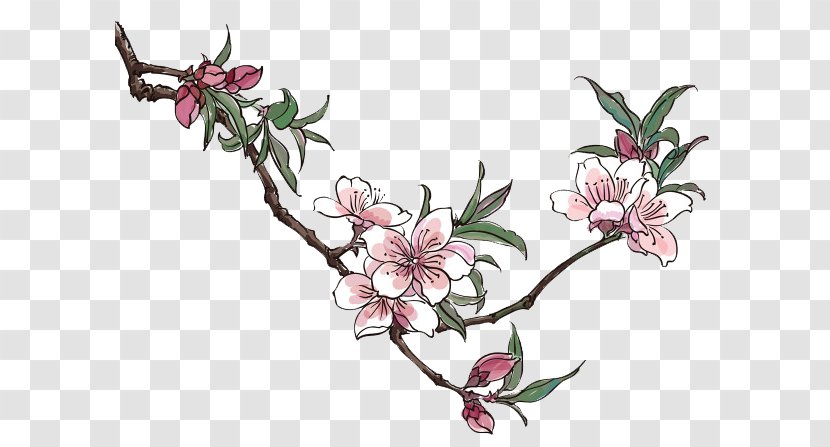Peach Blossom Drawing Clip Art - Plum - Creative Cartoon Pictures Transparent PNG
