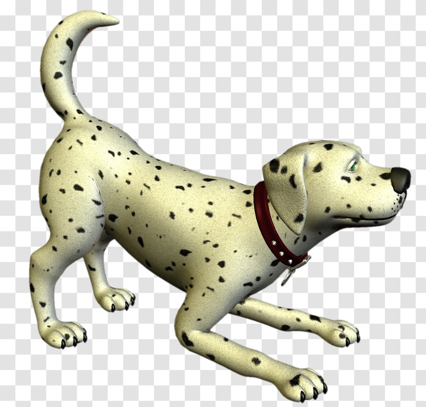 Dalmatian Dog Breed Animaatio Companion - Terrestrial Animal - MASCOTAS Transparent PNG