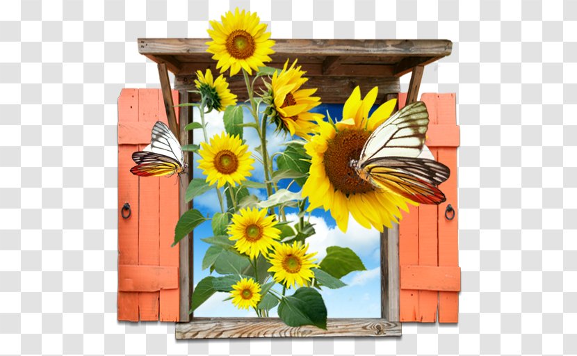 Flower Icon Design - Membrane Winged Insect - Sunflowers Transparent PNG