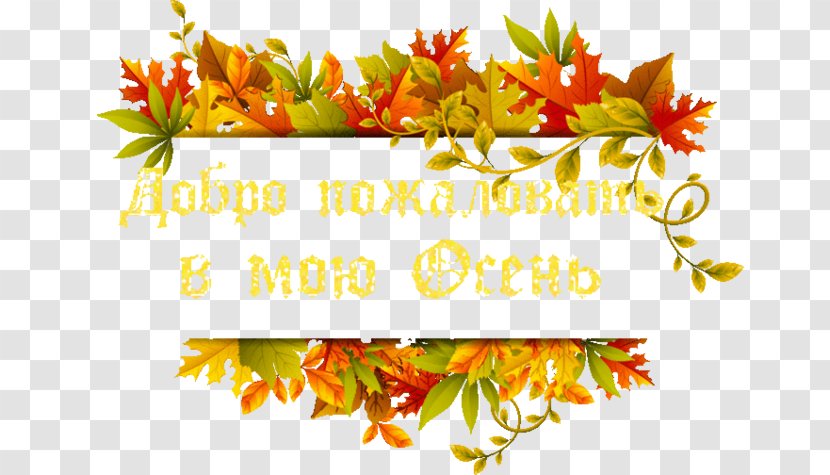 Maple Leaf Autumn Color - Flower Arranging Transparent PNG