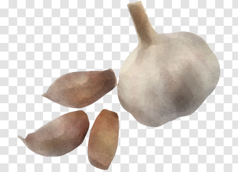 Garlic Vegetable Meaning Carrot Transparent PNG