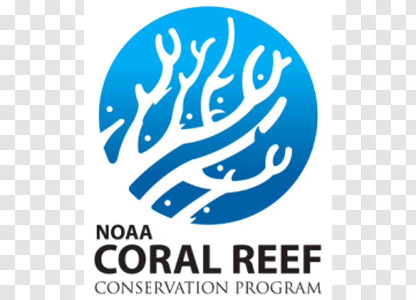 Florida Reef National Oceanic And Atmospheric Administration Coral Protection - Symbol Transparent PNG