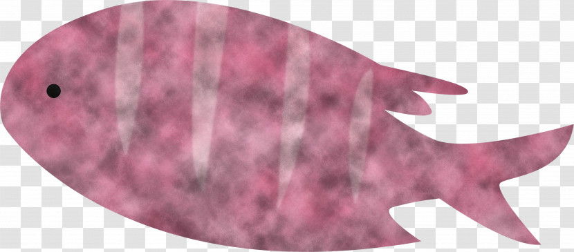 Fish Pattern Biology Science Transparent PNG