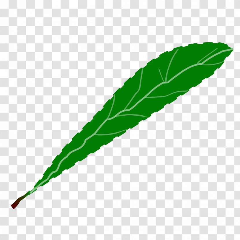 Leaf Green Petal Clip Art - Limbe - Leaves Transparent PNG