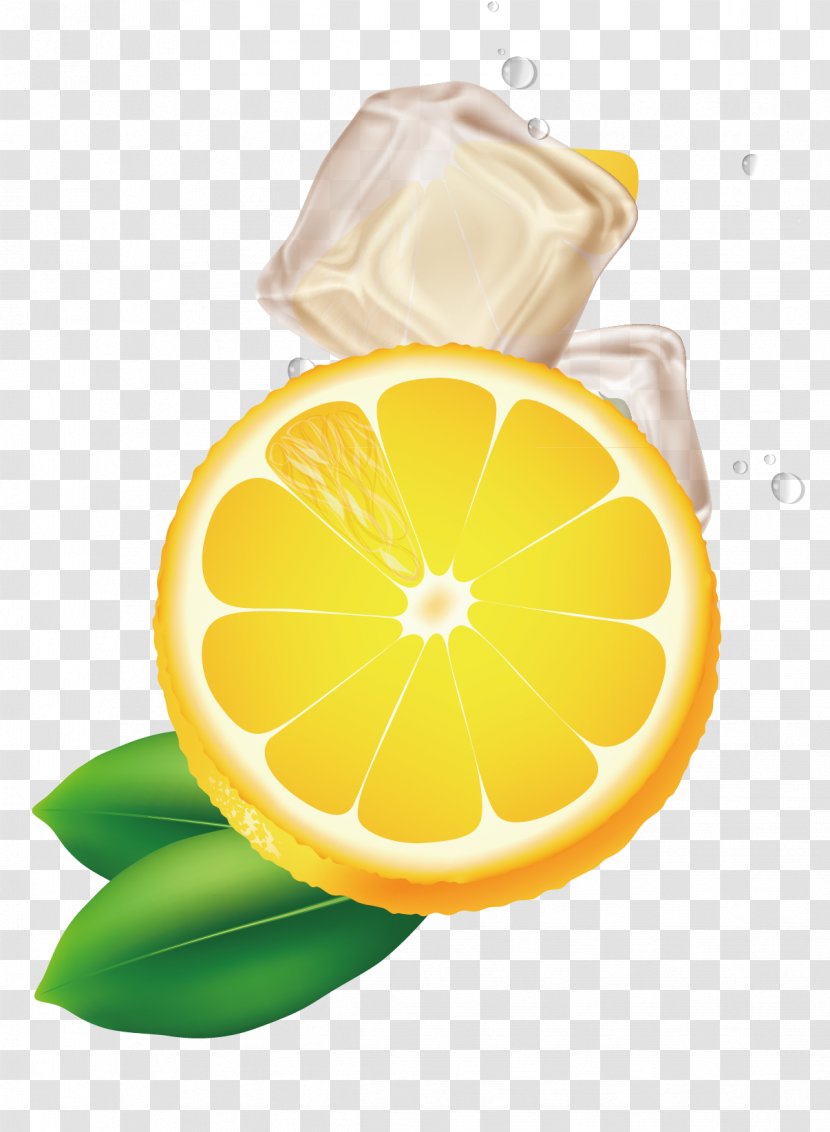 Lemon-lime Drink - Lemon Lime - Decorative Design Patterns Transparent PNG