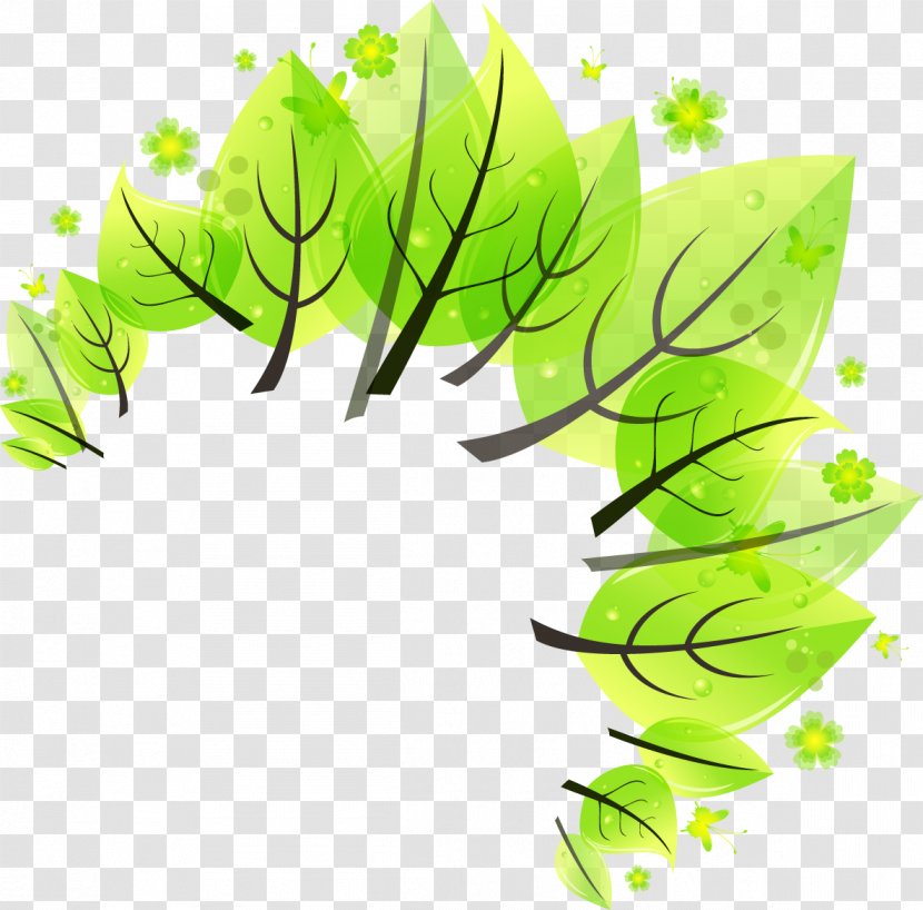 Leaf Illustration - Plant Stem - Decorative Ring Abstract Trees Transparent PNG