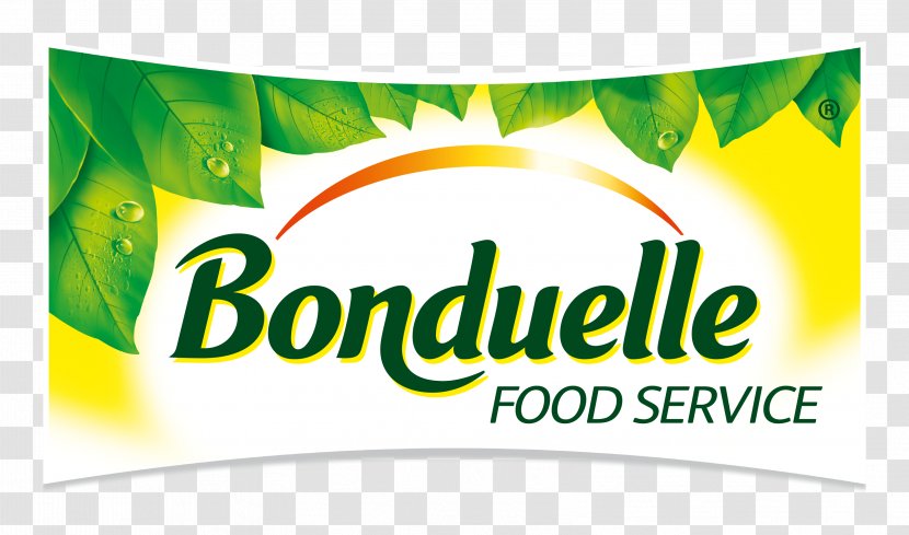 Logo Banner Brand Foodservice Bonduelle - Transformes Transparent PNG