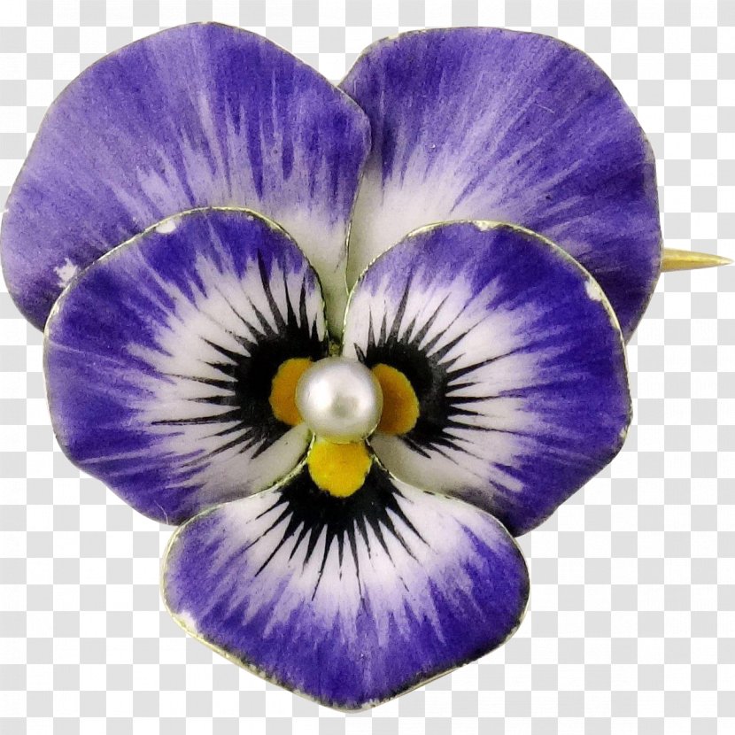 Pansy Earring Brooch Jewellery Violet - Family Transparent PNG