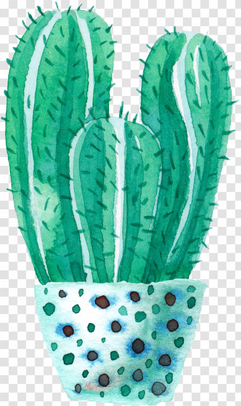 Cactaceae Watercolor Painting - Plant - Potted Cactus Transparent PNG