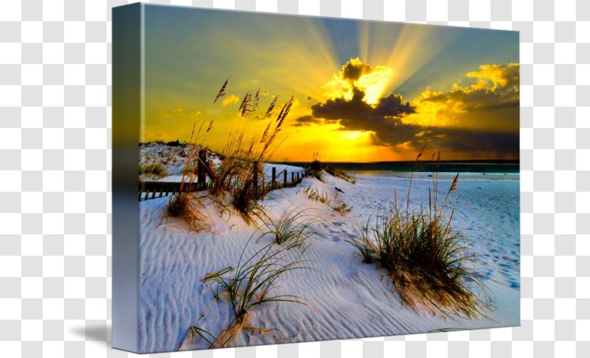 Landscape Painting Photography Light - SUN RAY Transparent PNG
