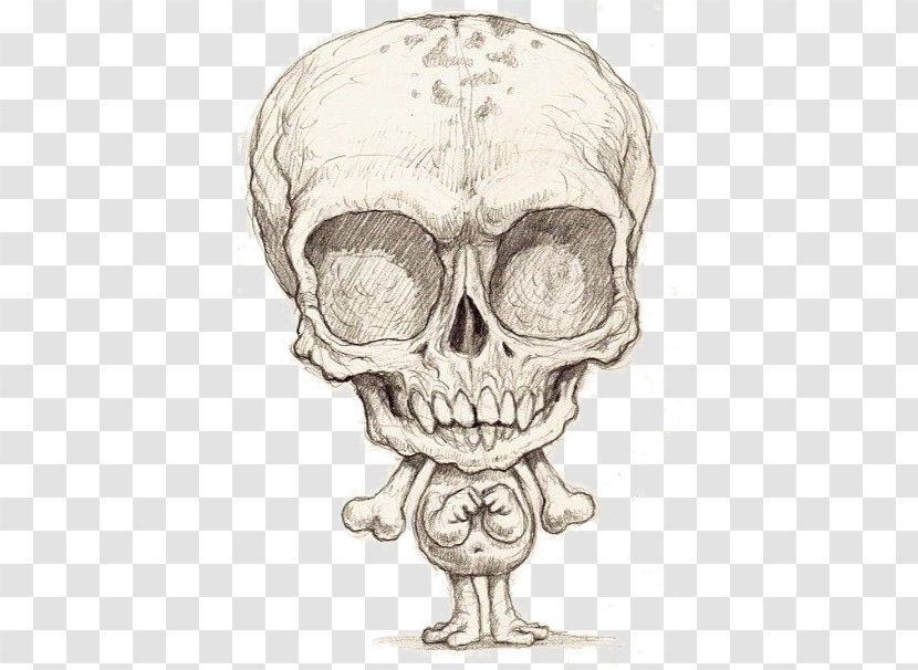 Skull Skeleton Jaw Sketch - Watercolor Transparent PNG