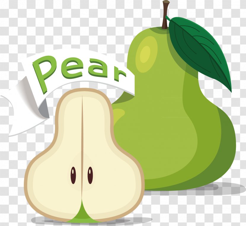 Pyrus Nivalis Fruit Cartoon - Pear Transparent PNG