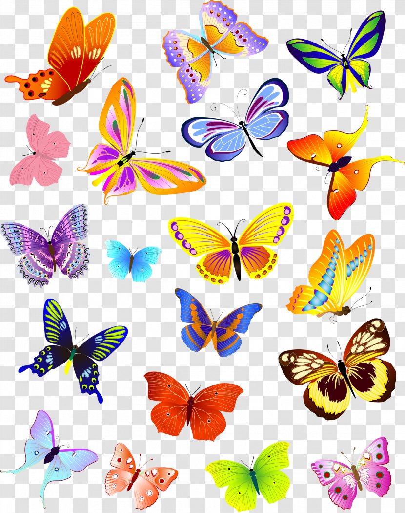 Butterfly Clip Art - Pollinator - Modern Colorful Transparent PNG