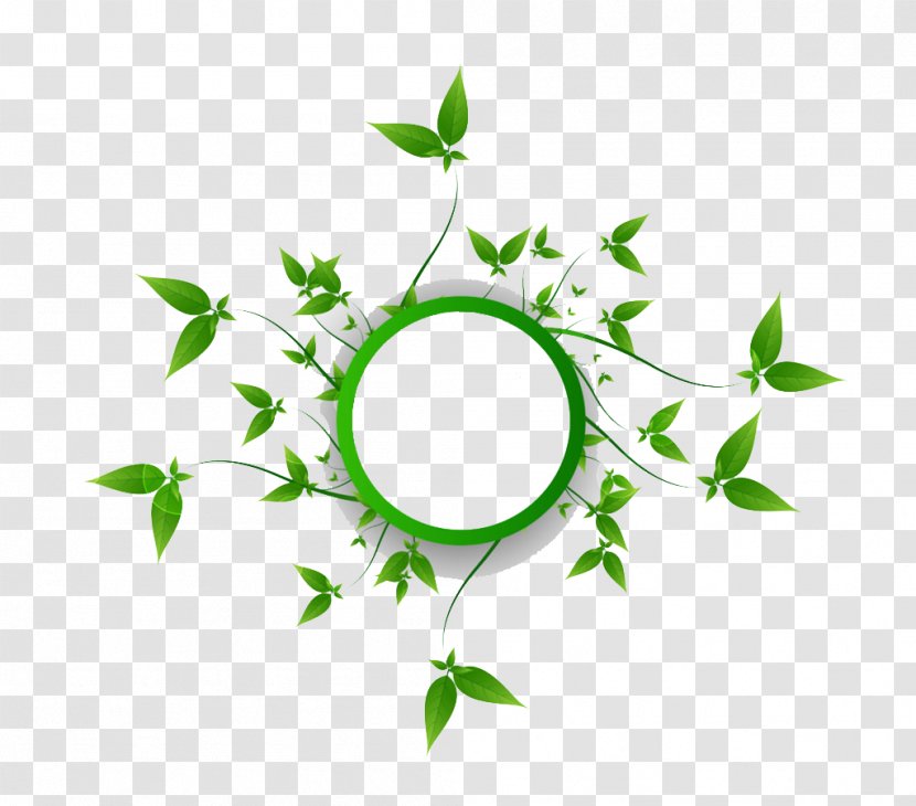 Green Nail Polish Art Circle - Leaf - Small Buds And Rings Transparent PNG